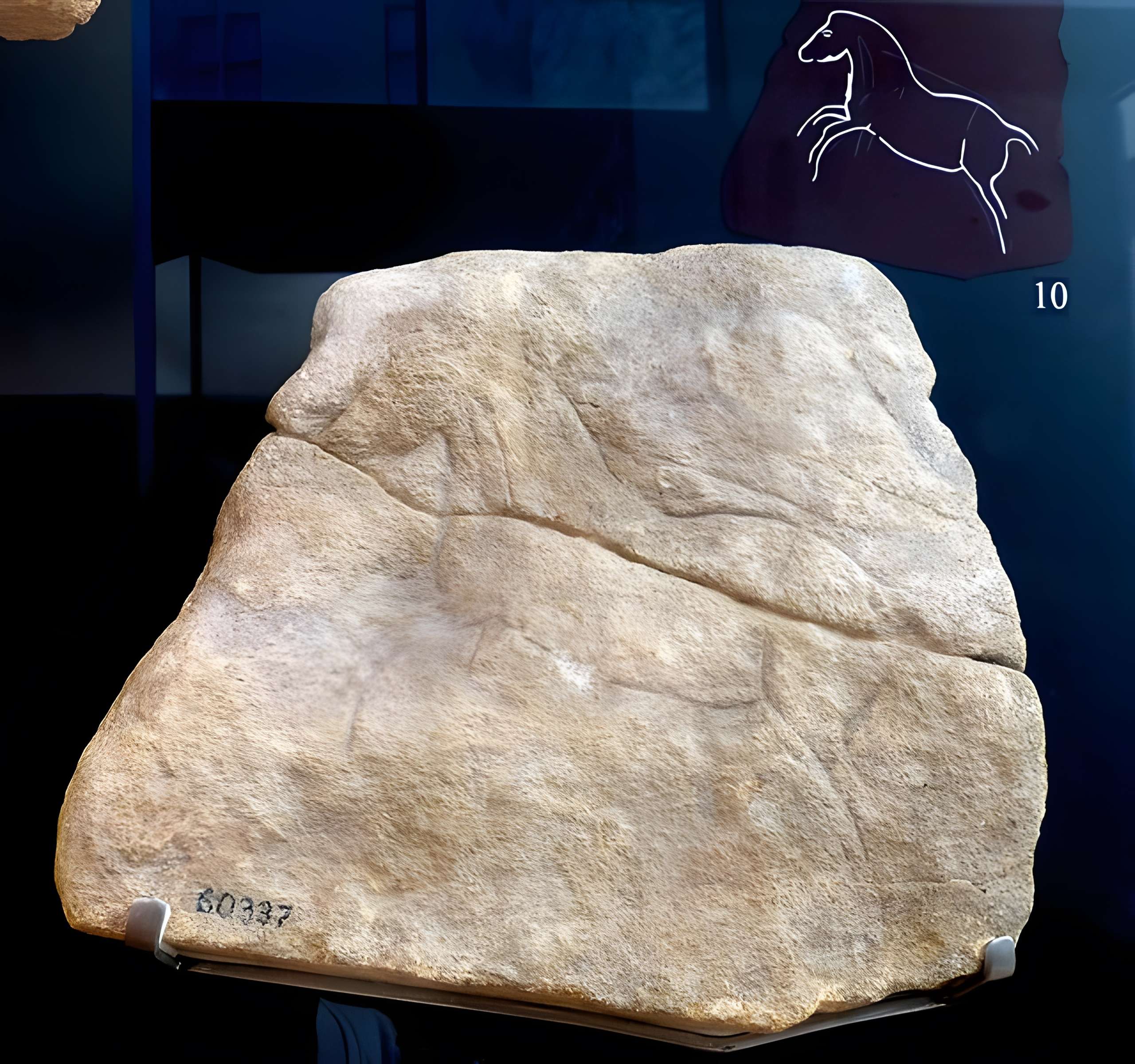 Musée de la préhistoire des Eyzies-de-Tayac-Sireuil