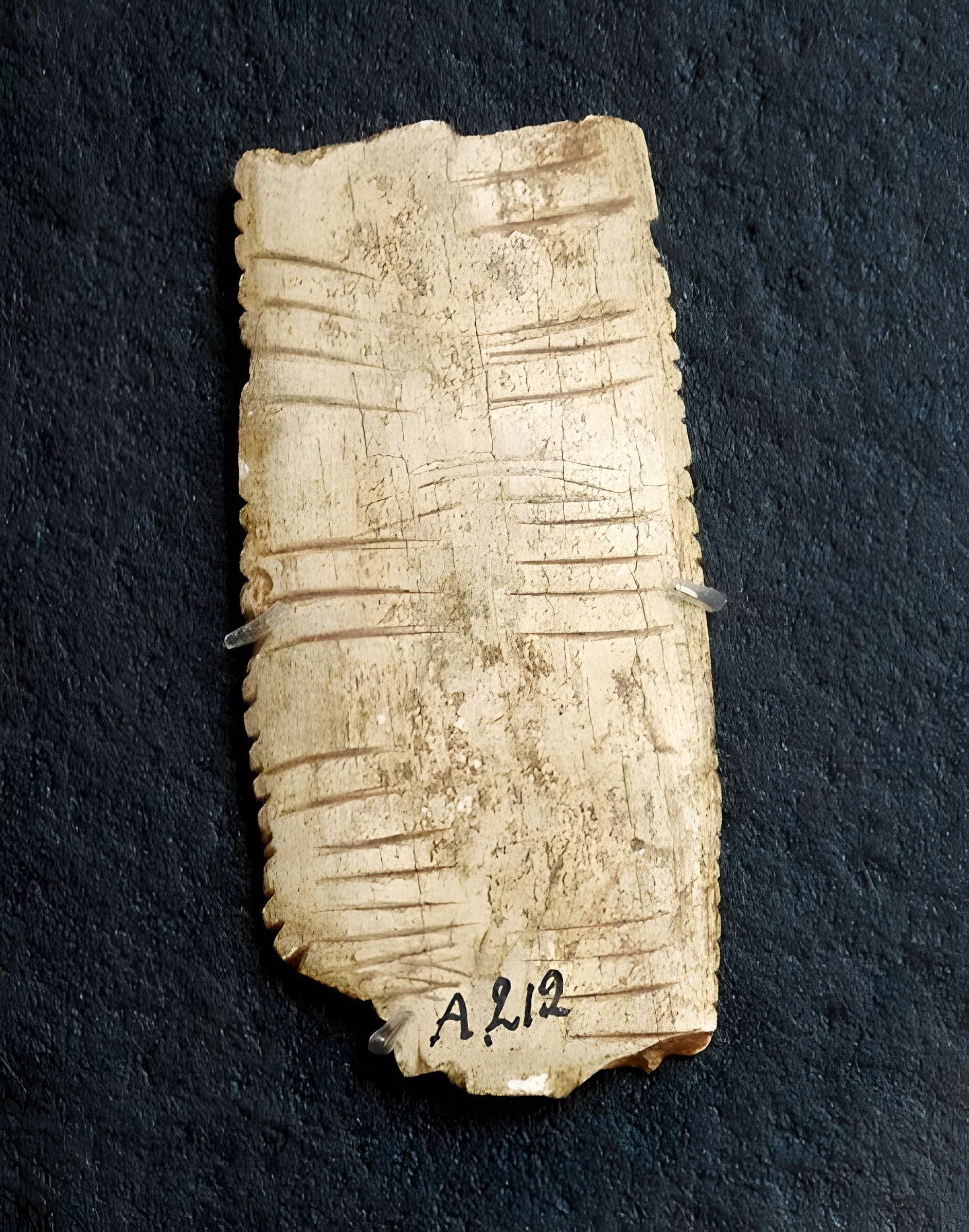 Musée de la préhistoire des Eyzies-de-Tayac-Sireuil