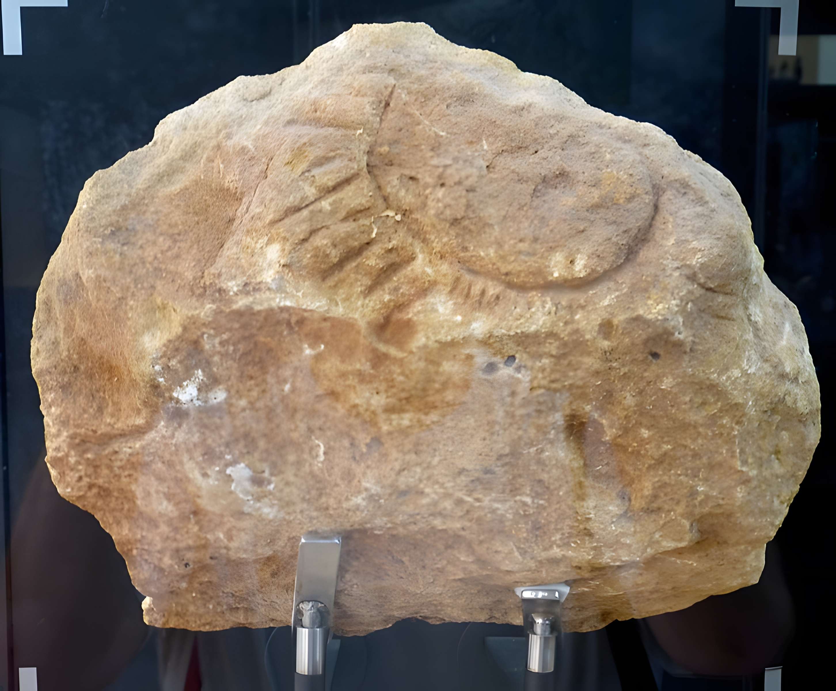 Musée de la préhistoire des Eyzies-de-Tayac-Sireuil