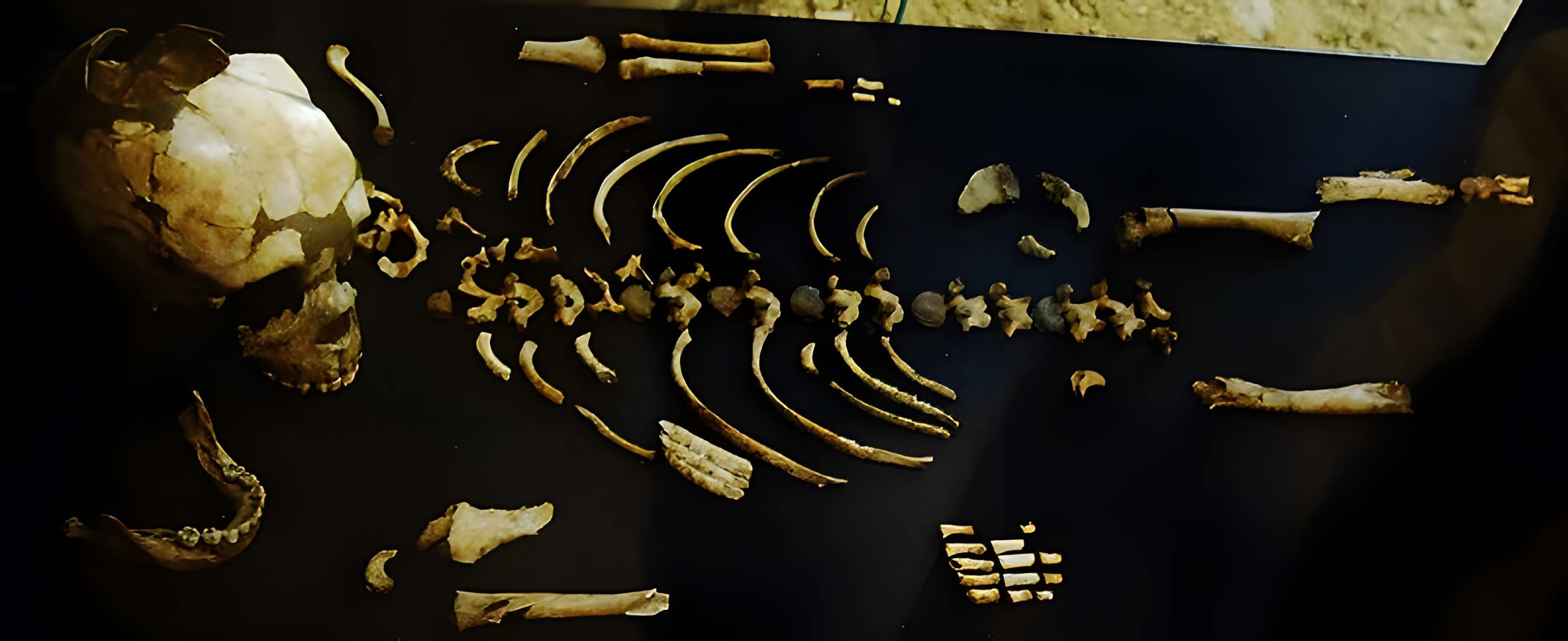 Musée de la préhistoire des Eyzies-de-Tayac-Sireuil