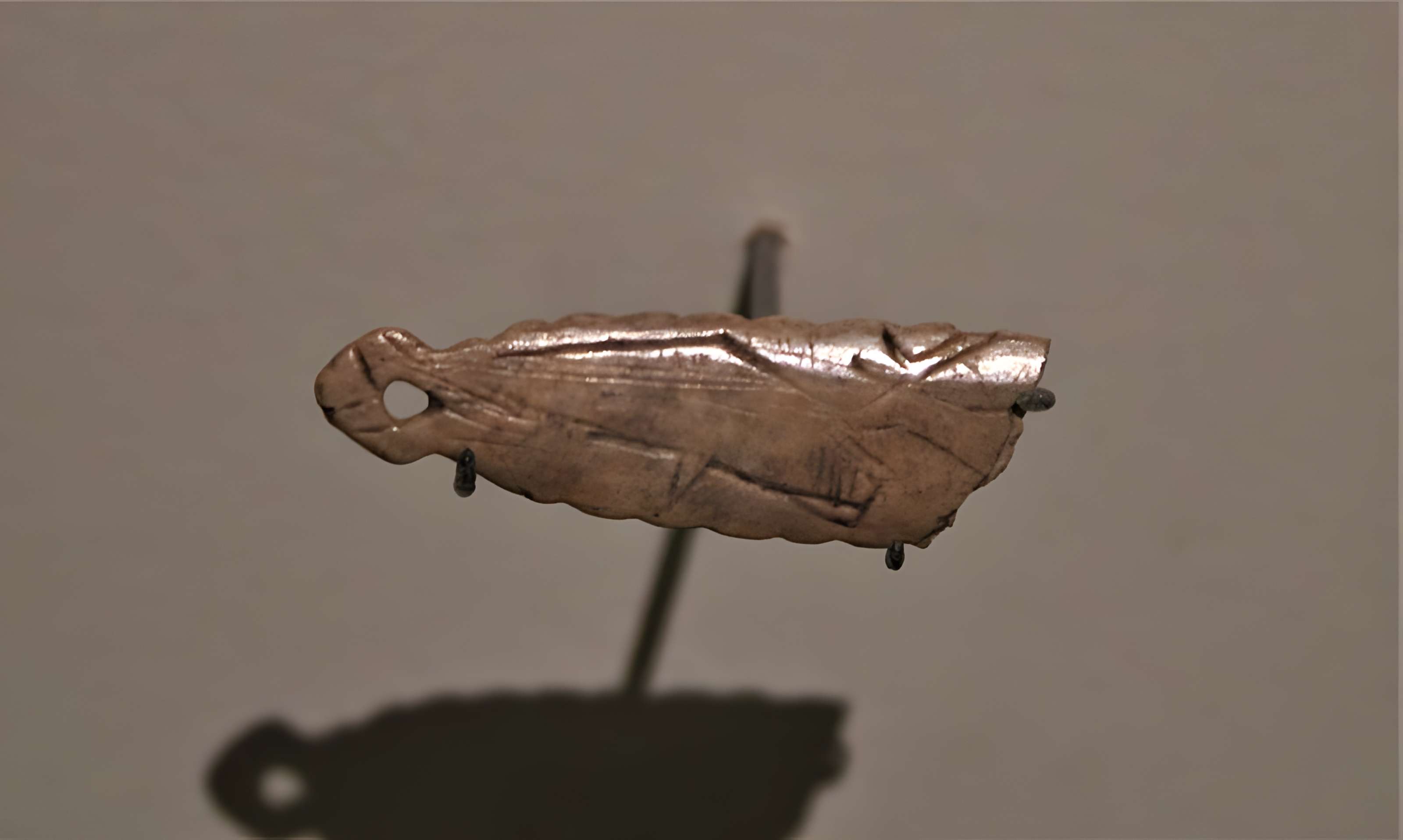 Musée de la préhistoire des Eyzies-de-Tayac-Sireuil