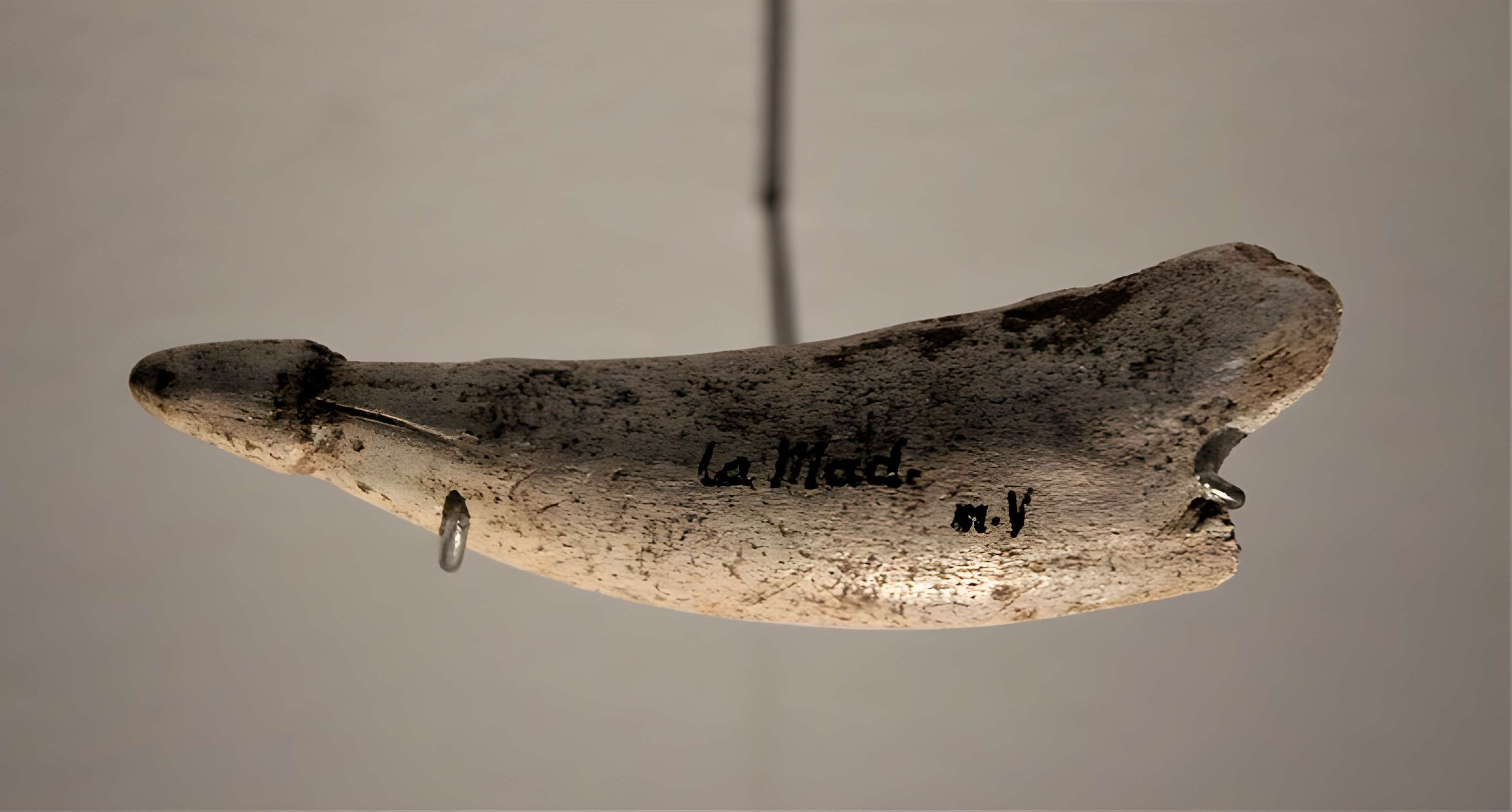 Musée de la préhistoire des Eyzies-de-Tayac-Sireuil