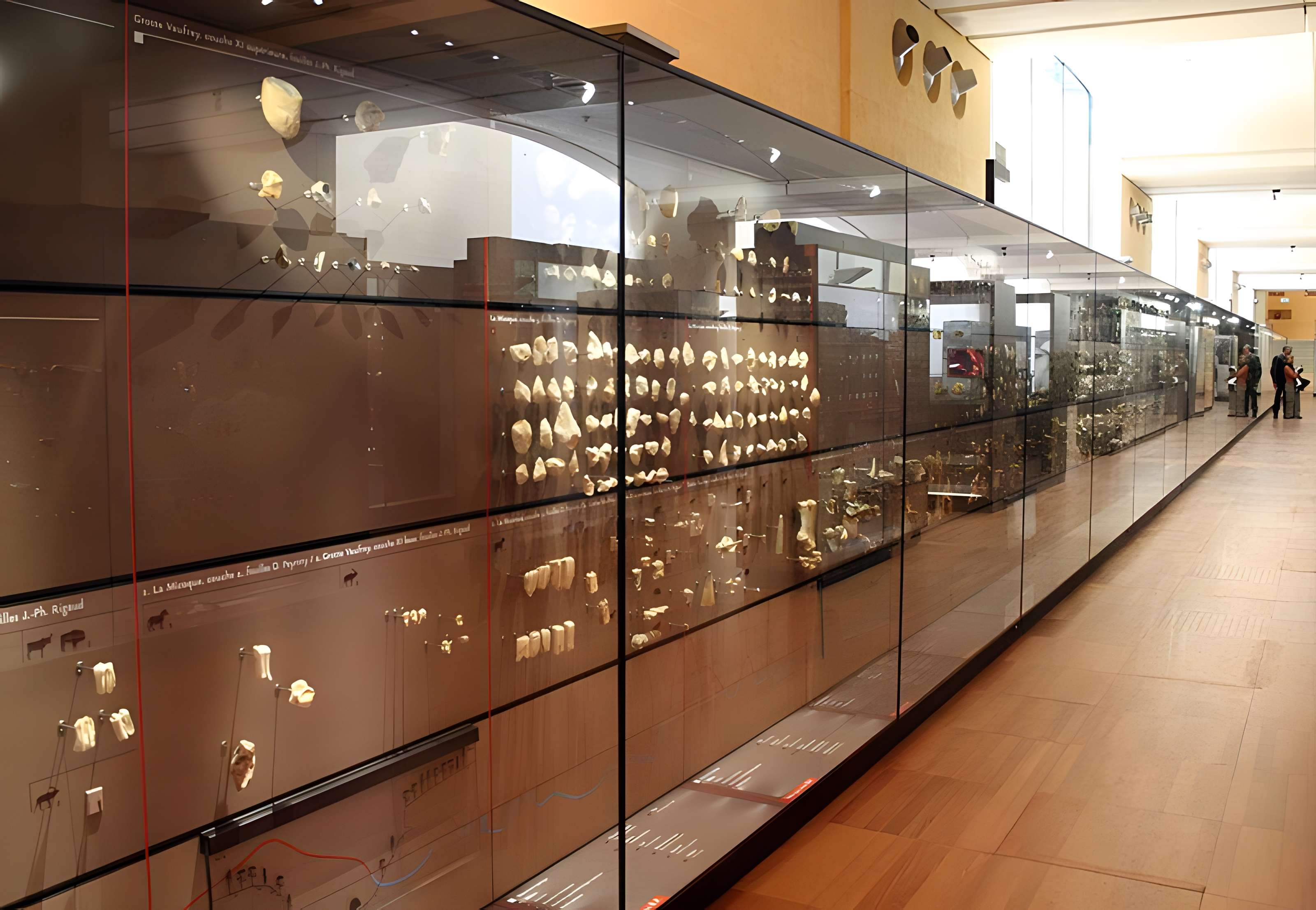 Musée de la préhistoire des Eyzies-de-Tayac-Sireuil