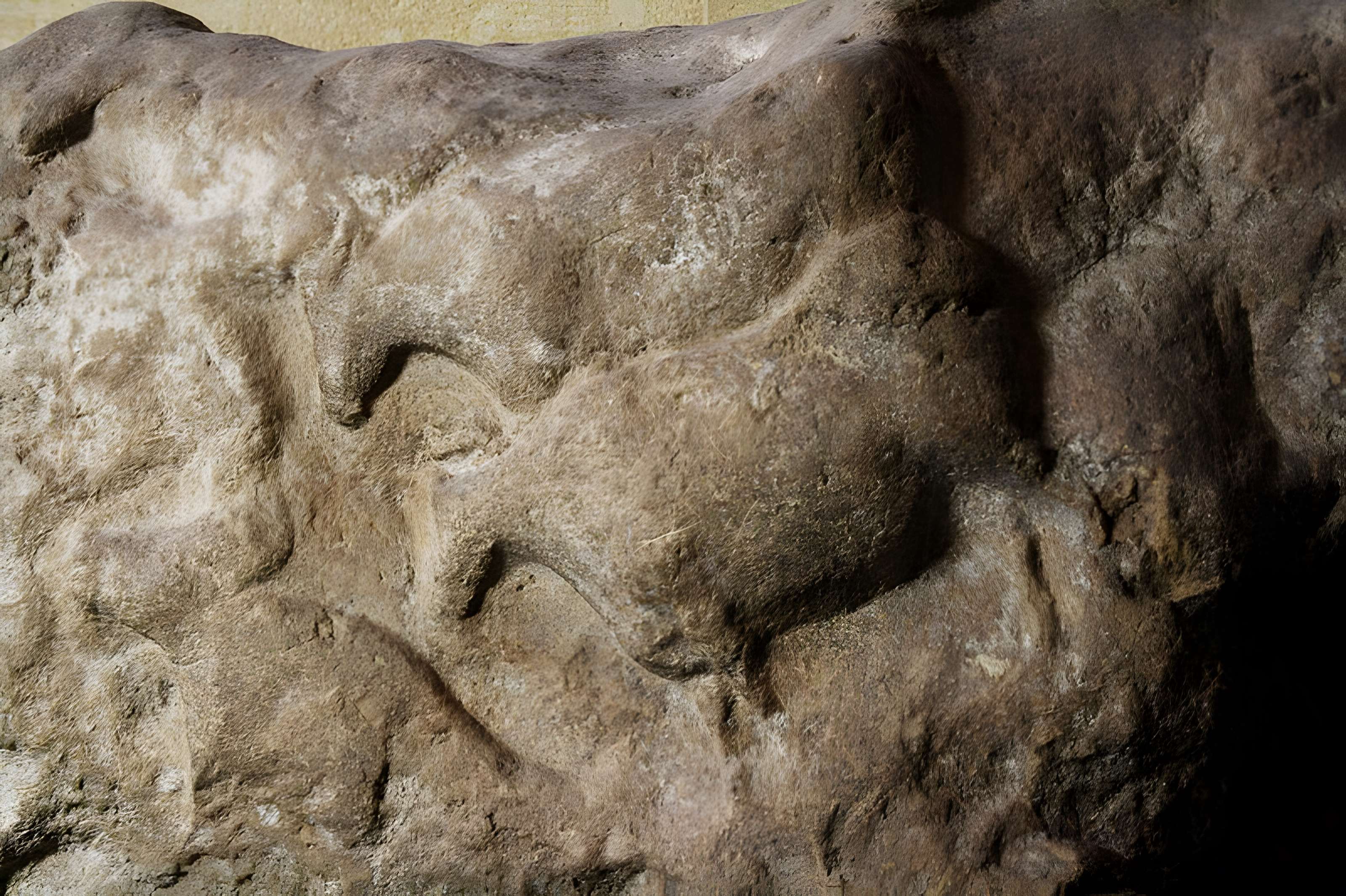 Musée de la préhistoire des Eyzies-de-Tayac-Sireuil