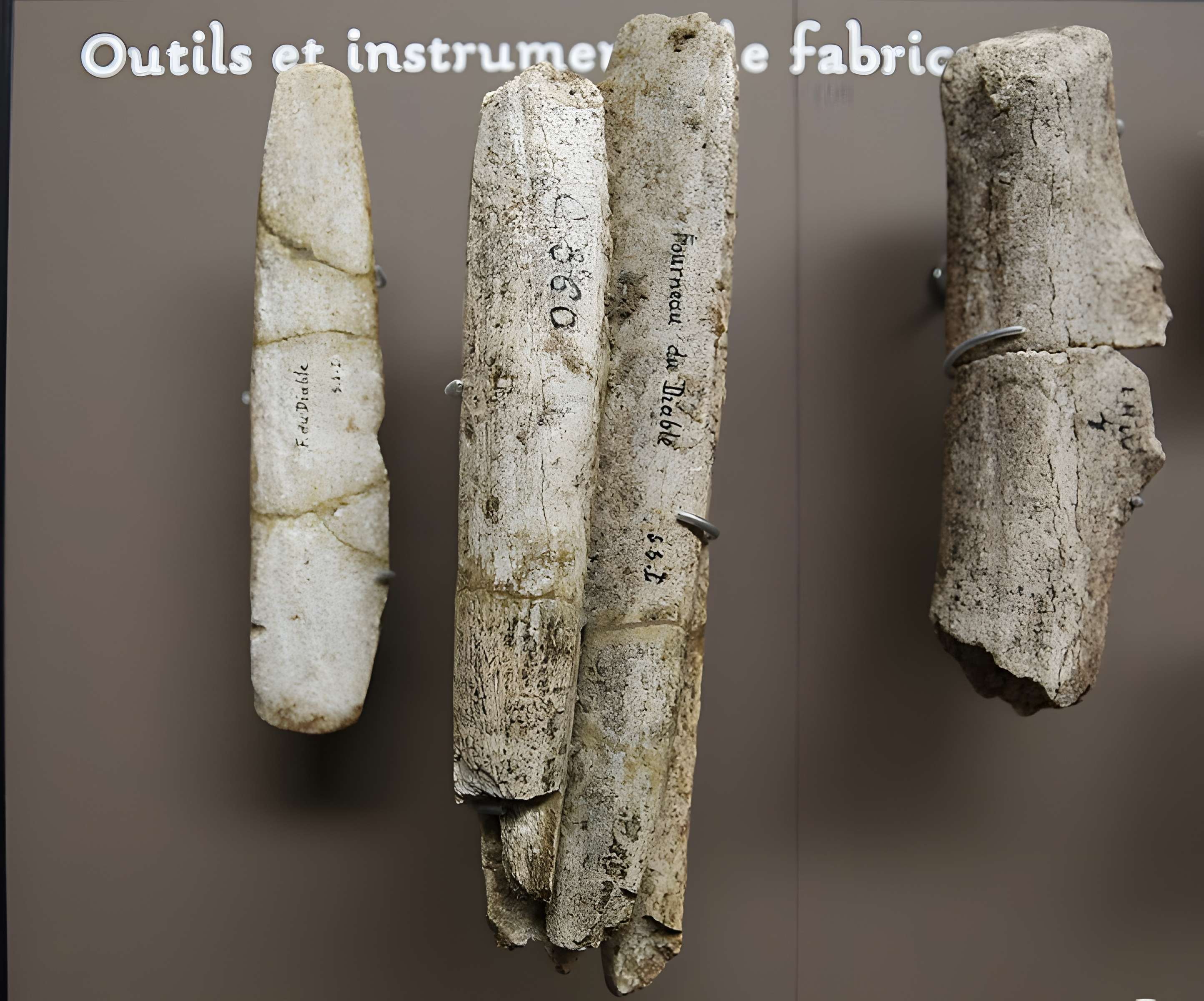 Musée de la préhistoire des Eyzies-de-Tayac-Sireuil