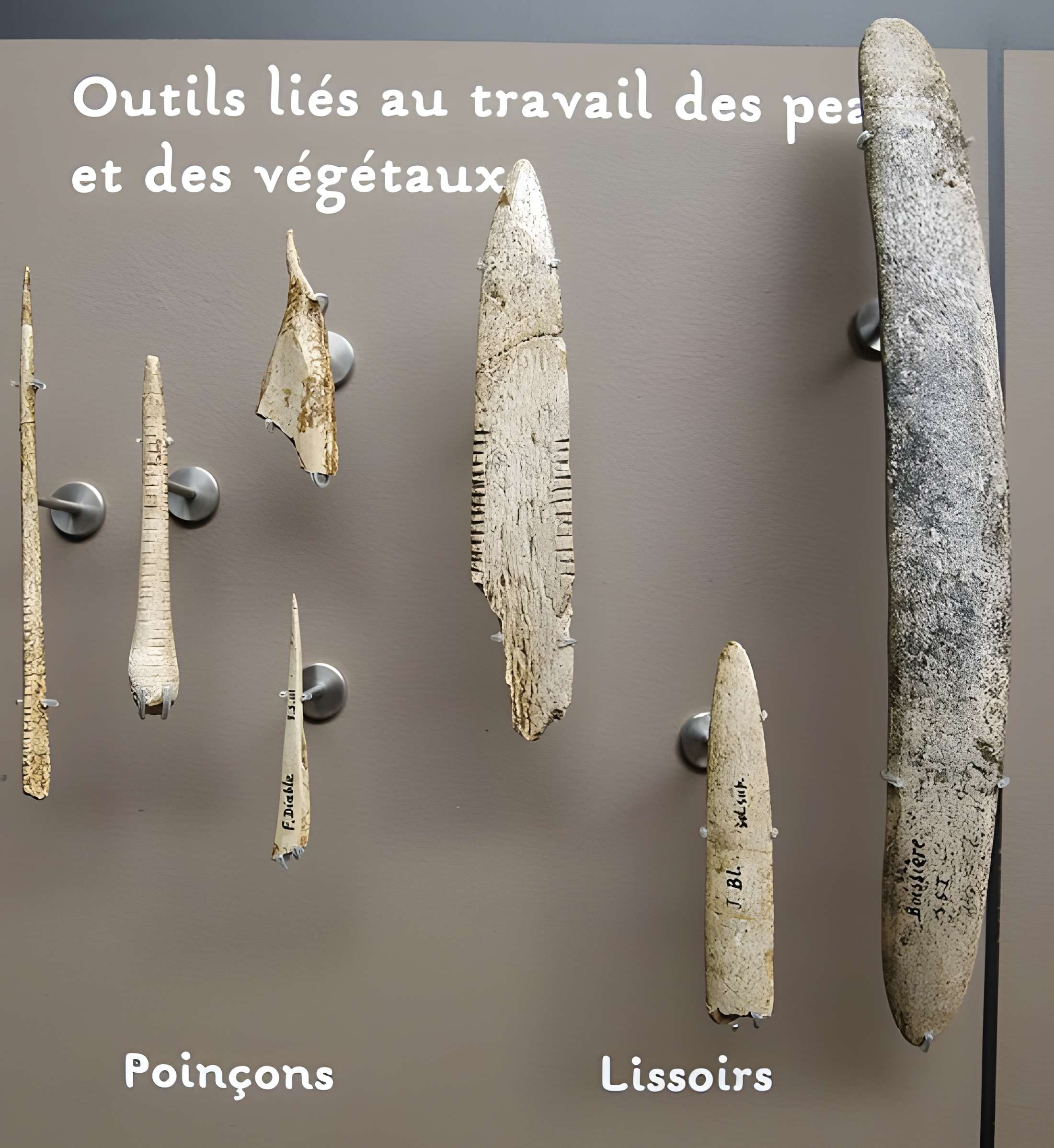 Musée de la préhistoire des Eyzies-de-Tayac-Sireuil
