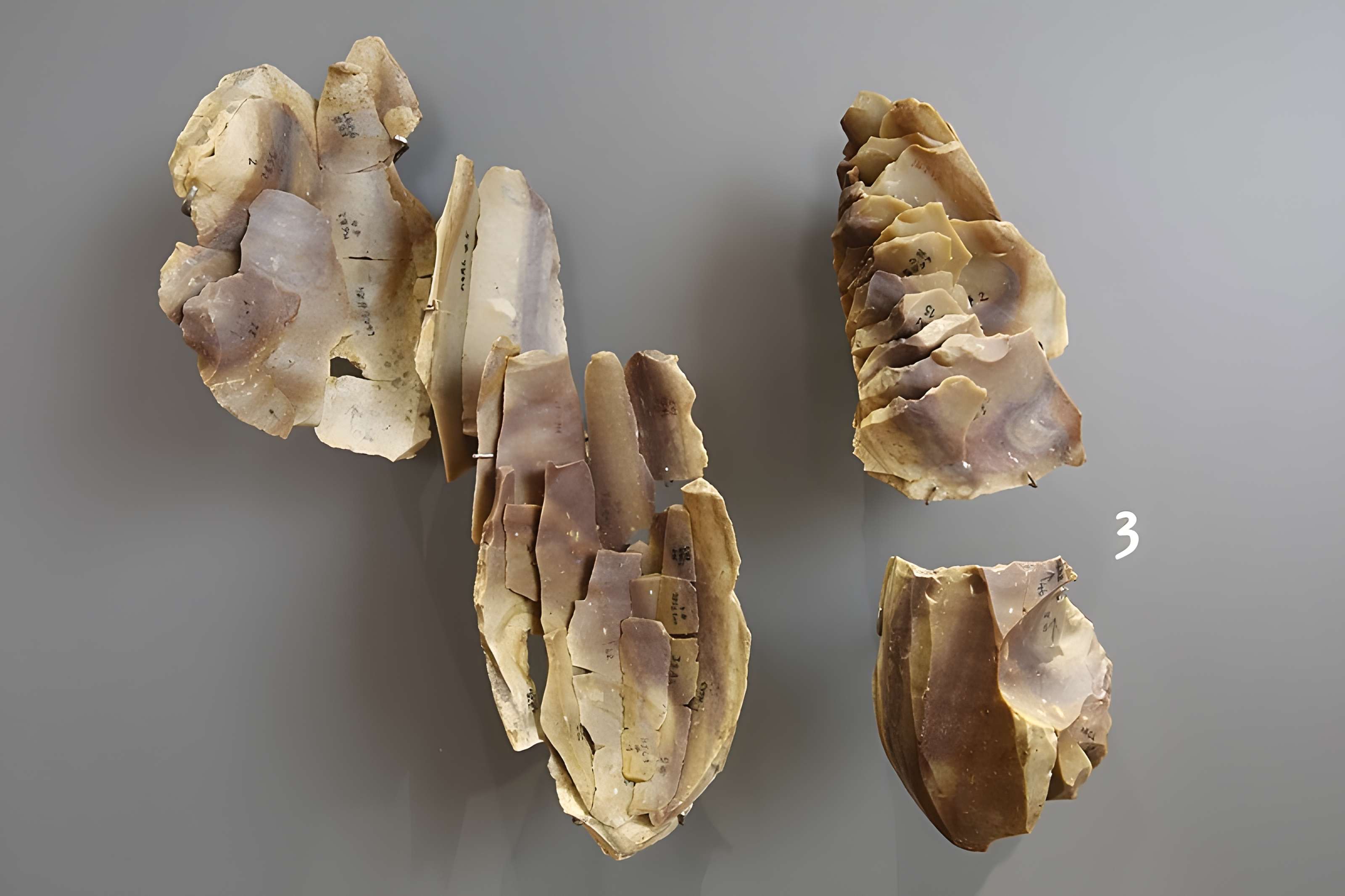 Musée de la préhistoire des Eyzies-de-Tayac-Sireuil