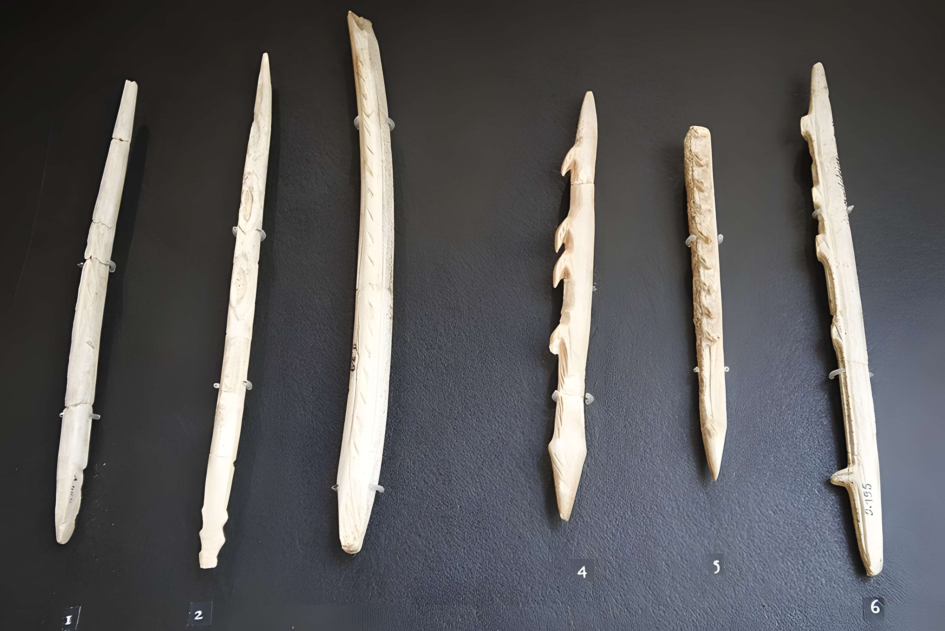 Musée de la préhistoire des Eyzies-de-Tayac-Sireuil