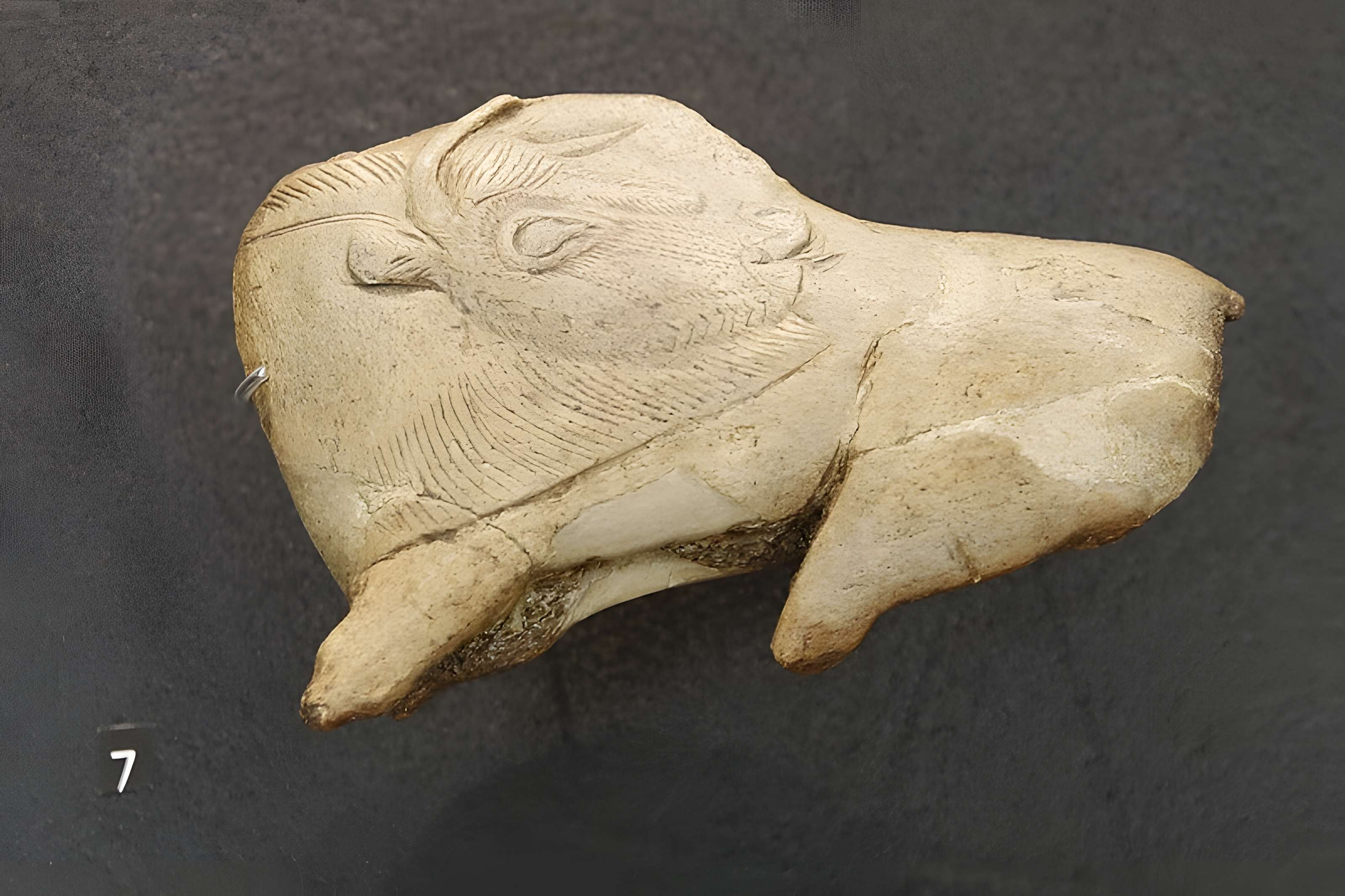 Musée de la préhistoire des Eyzies-de-Tayac-Sireuil