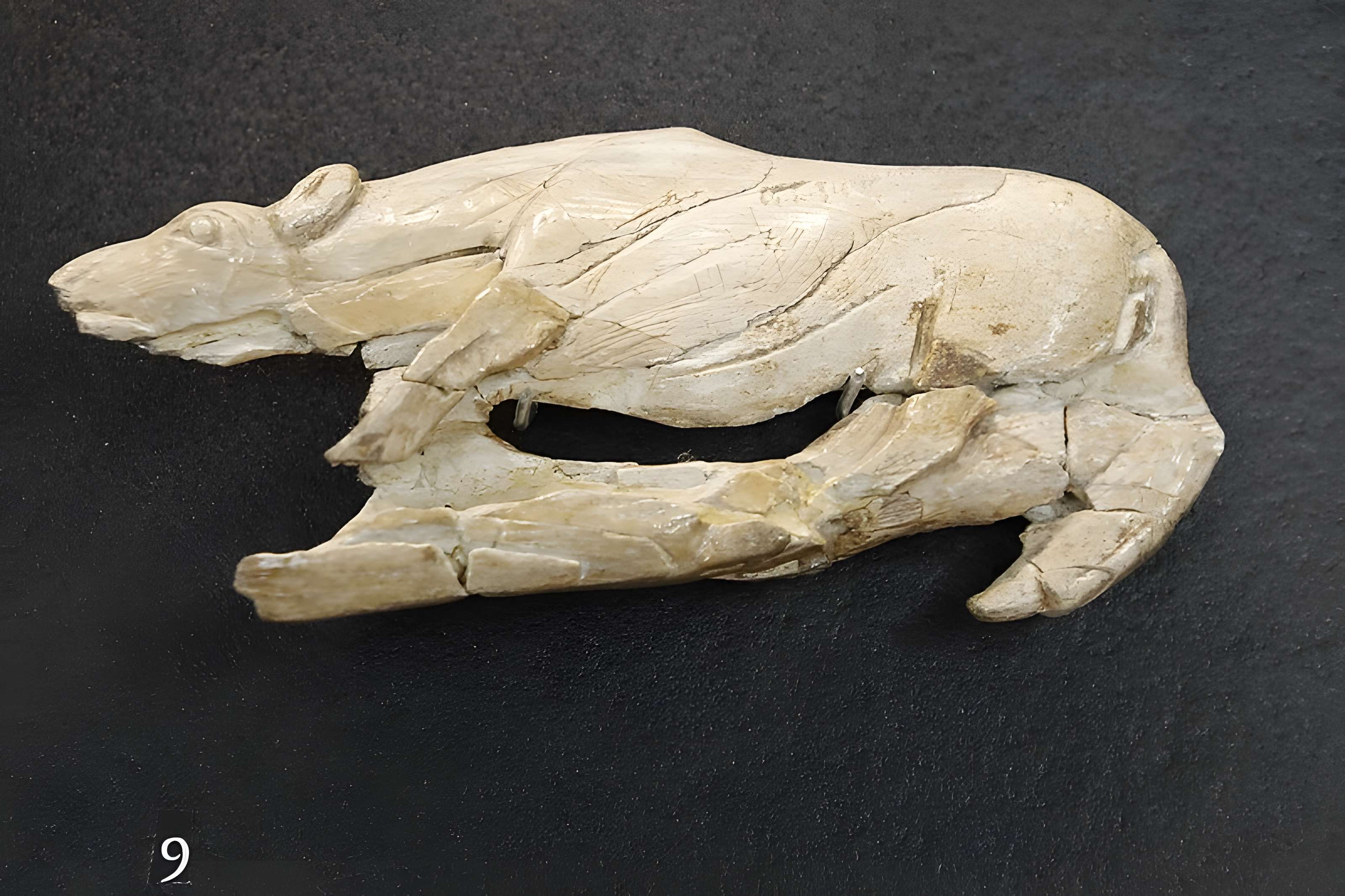 Musée de la préhistoire des Eyzies-de-Tayac-Sireuil