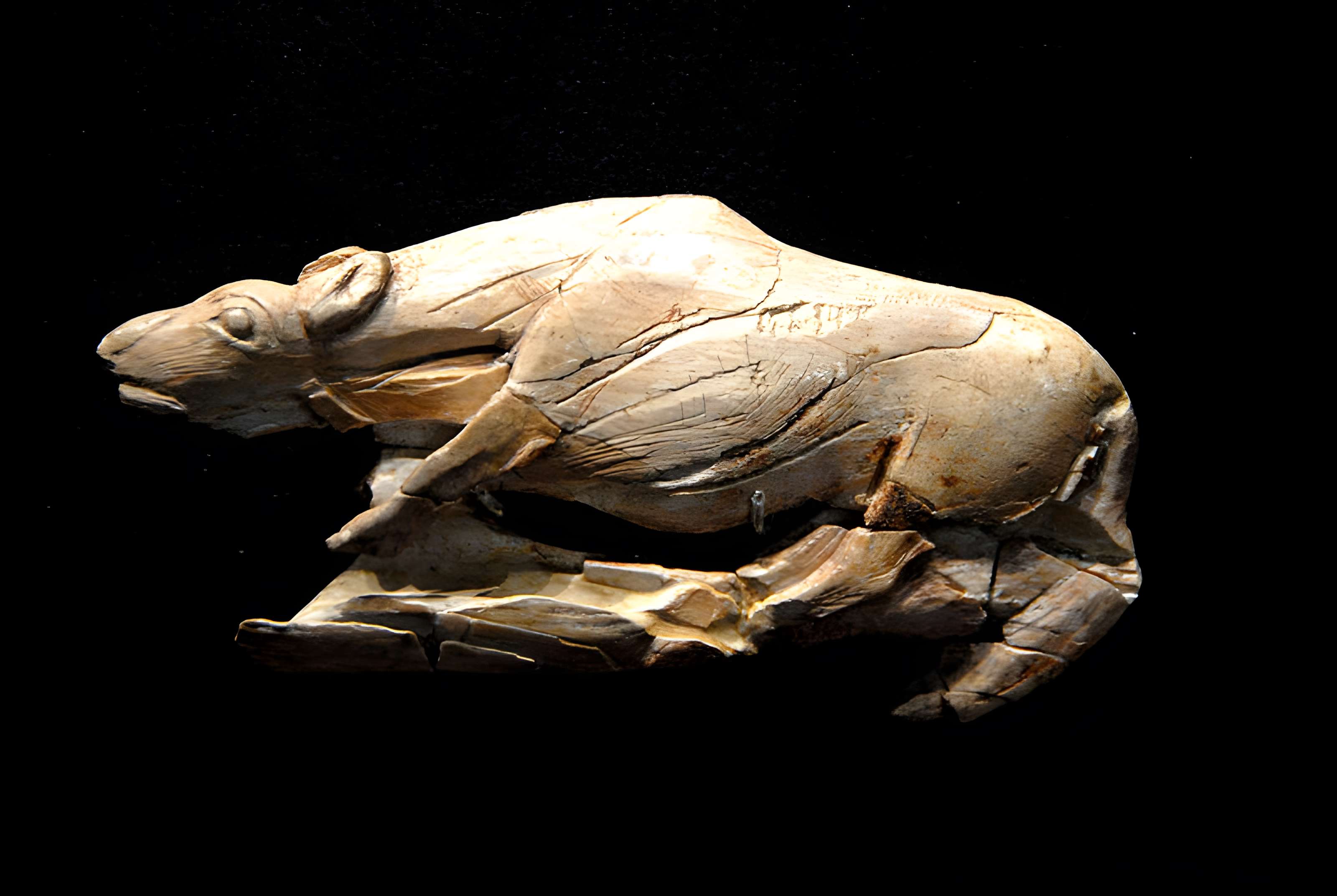 Musée de la préhistoire des Eyzies-de-Tayac-Sireuil