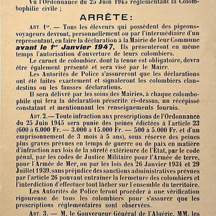 Photo de Musée dAquitaine à Bordeaux