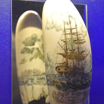 Musée dAquitaine à Bordeaux