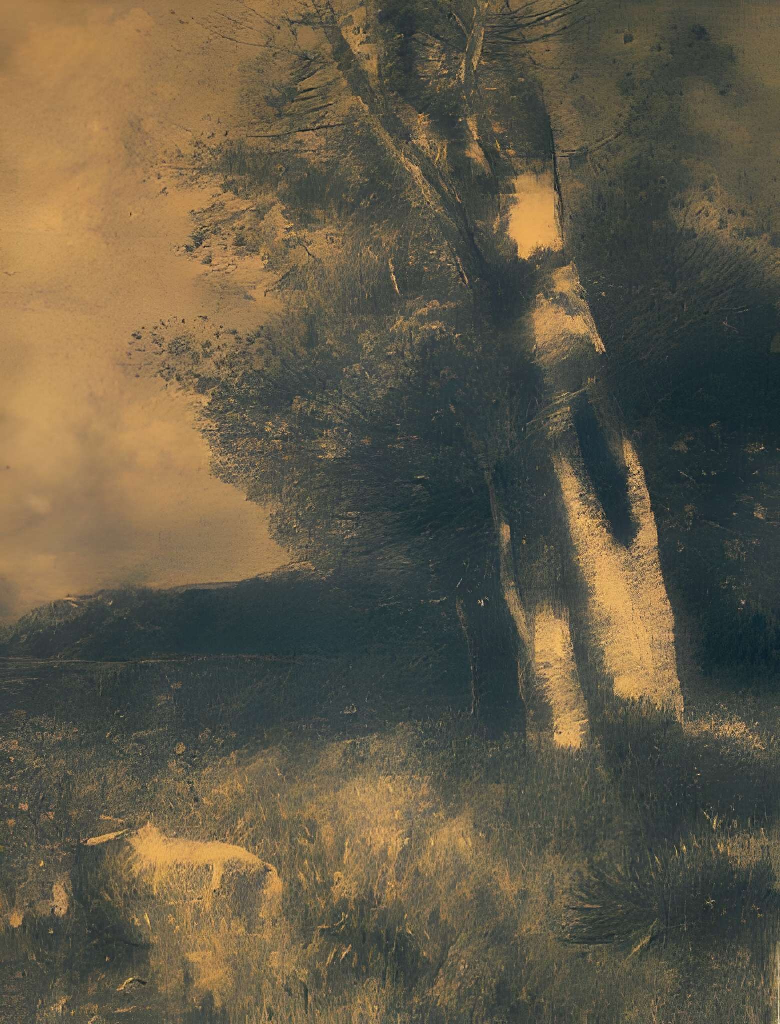 Musée des Beaux-Arts de Bordeaux