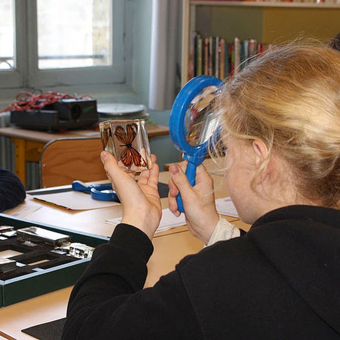 Photo de Muséum dhistoire naturelle de Bordeaux