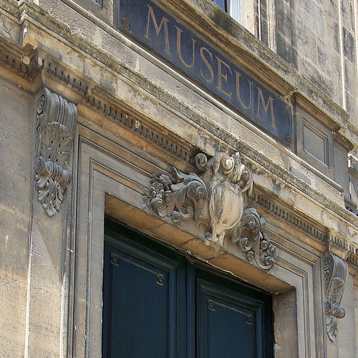 Photo de Muséum dhistoire naturelle de Bordeaux