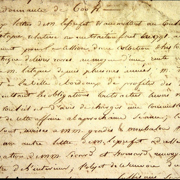 Photo de Muséum dhistoire naturelle de Bordeaux