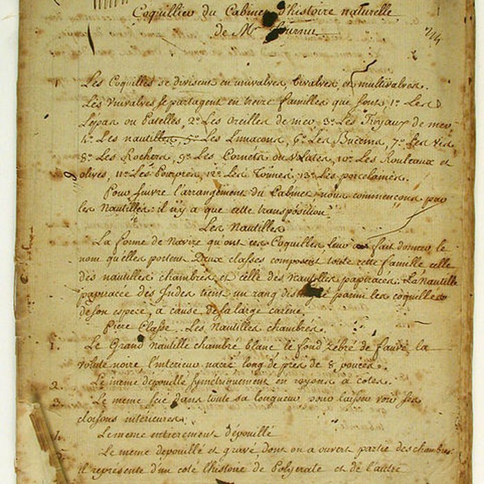 Photo de Muséum dhistoire naturelle de Bordeaux