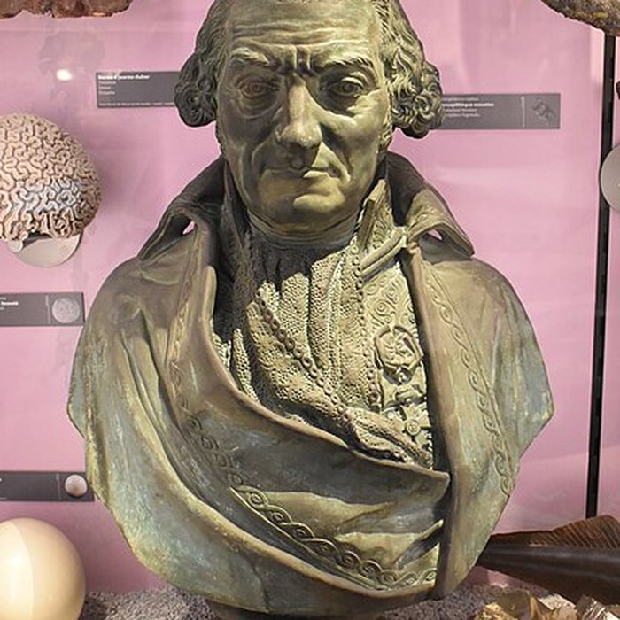 Photo de Muséum dhistoire naturelle de Bordeaux