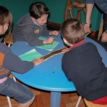 Muséum dhistoire naturelle de Bordeaux