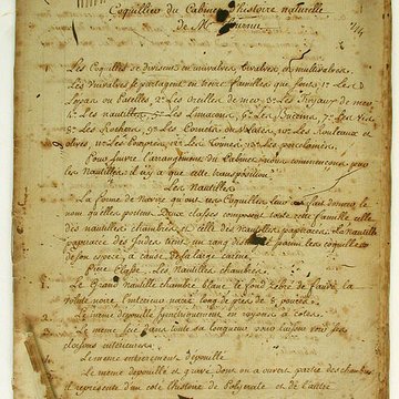 Muséum dhistoire naturelle de Bordeaux