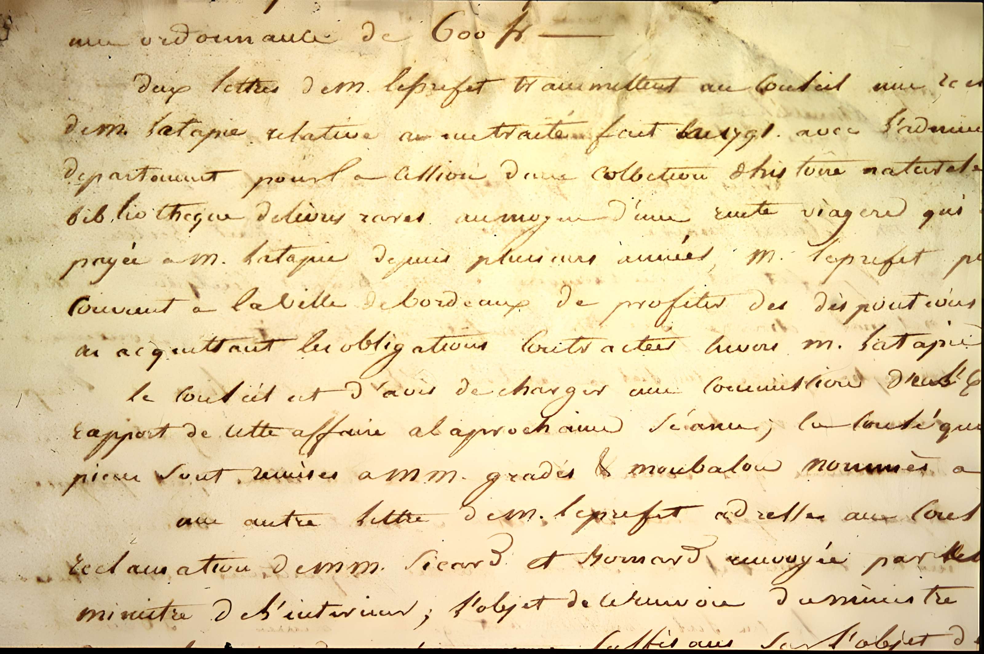 Muséum d'histoire naturelle de Bordeaux