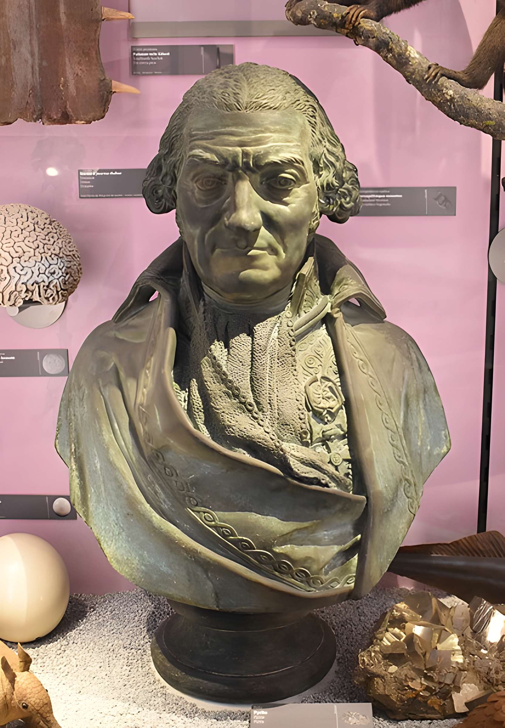 Muséum d'histoire naturelle de Bordeaux