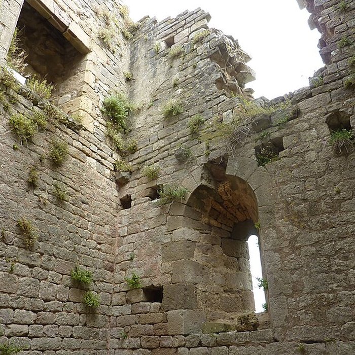 Photo de Château de Penne