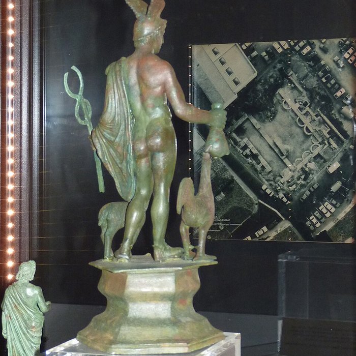 Photo de Musée de Borda à Dax