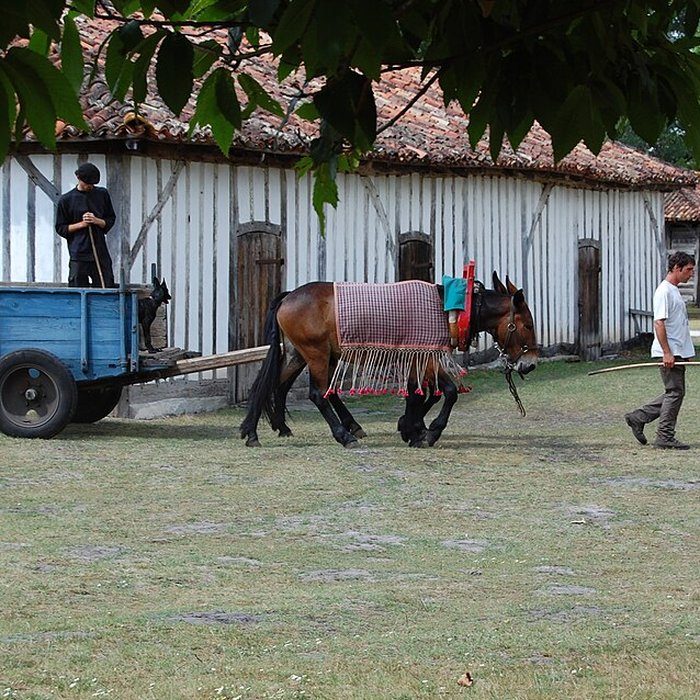 Photo de Écomusée de la Grande Lande à Sabres