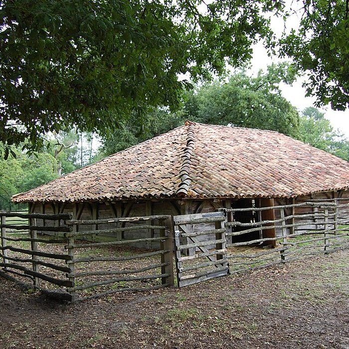 Photo de Écomusée de la Grande Lande à Sabres