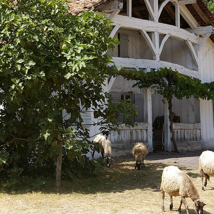 Photo de Écomusée de la Grande Lande à Sabres