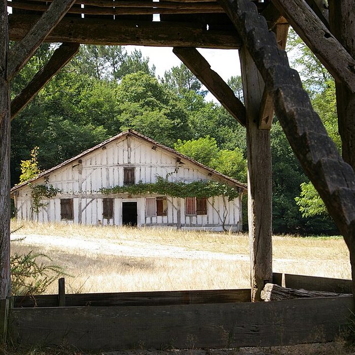 Photo de Écomusée de la Grande Lande à Sabres