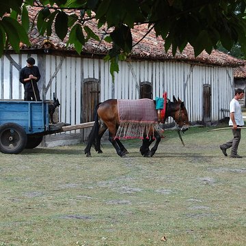 Écomusée de la Grande Lande à Sabres