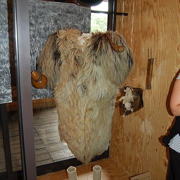 Écomusée de la Grande Lande à Sabres