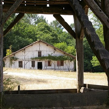 Écomusée de la Grande Lande à Sabres