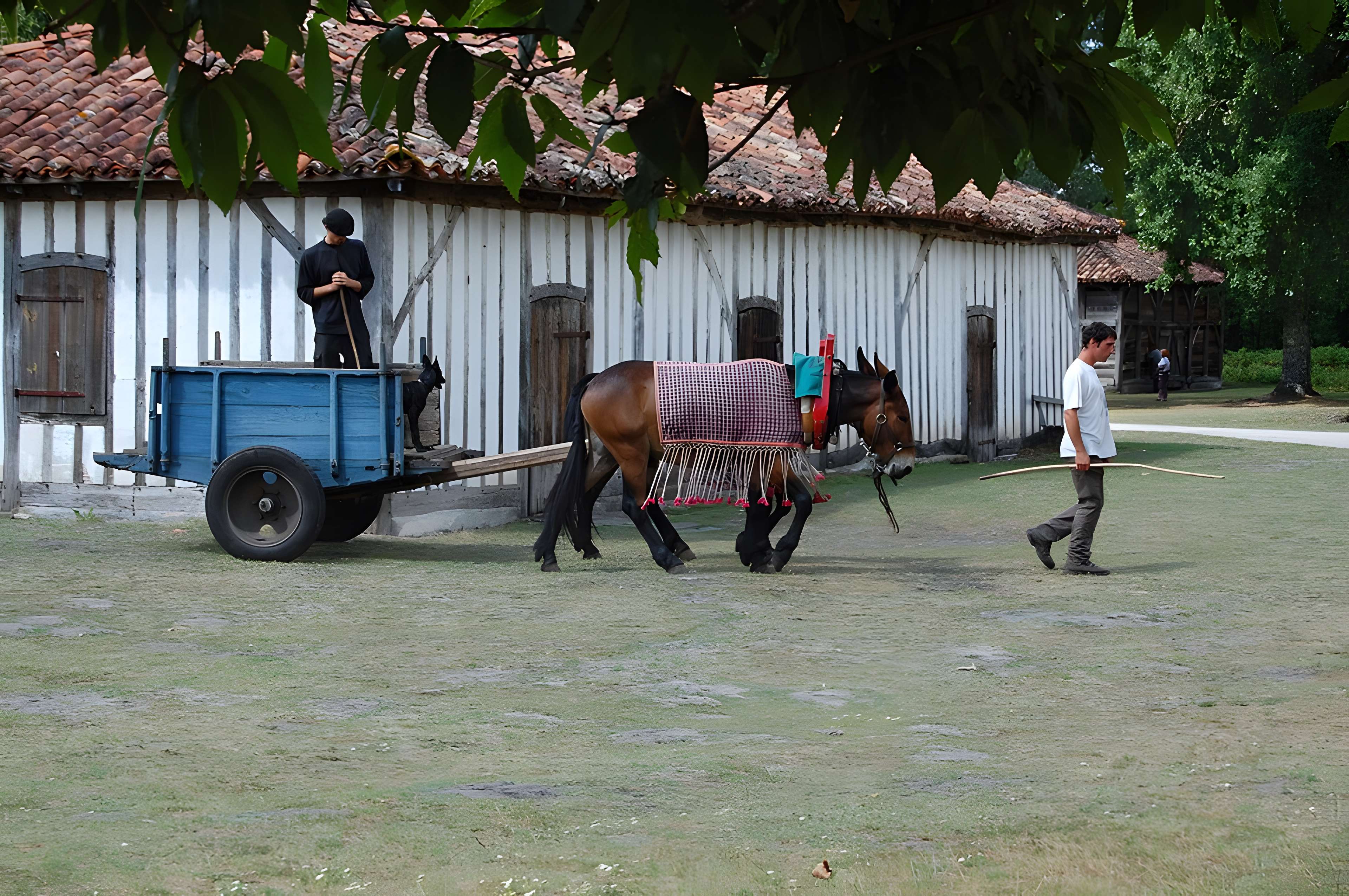 Écomusée de la Grande Lande à Sabres