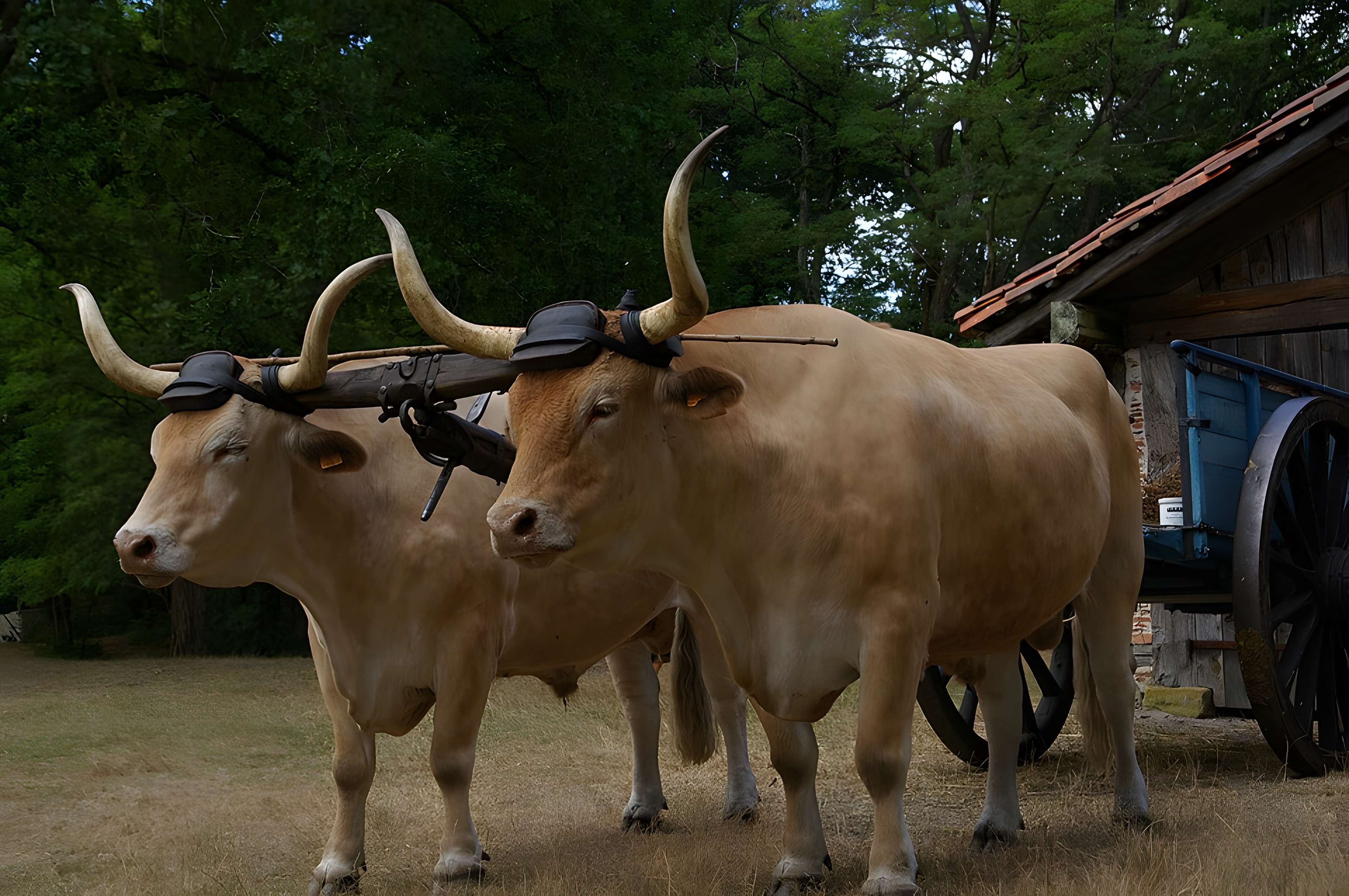 Écomusée de la Grande Lande à Sabres