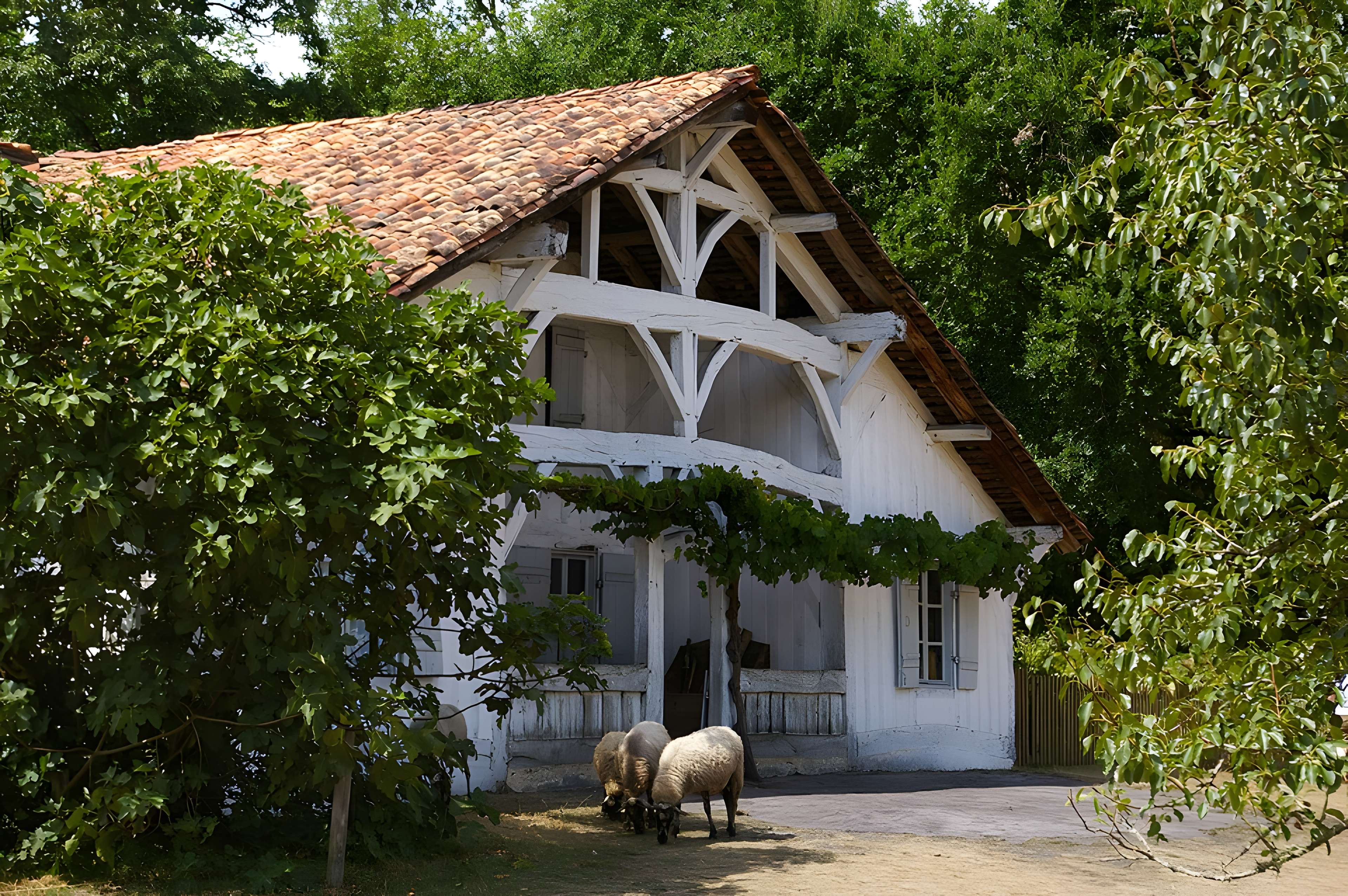 Écomusée de la Grande Lande à Sabres