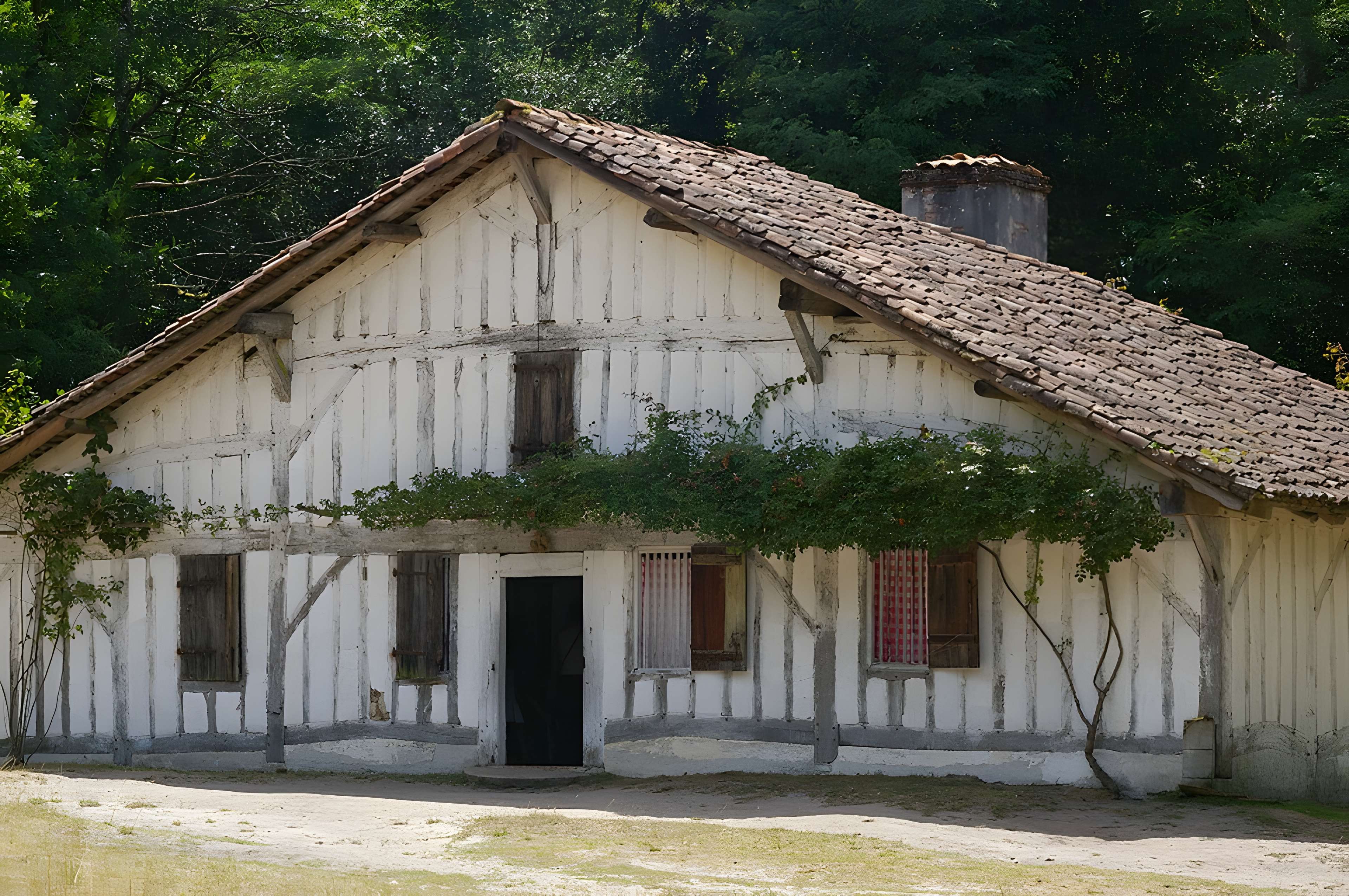Écomusée de la Grande Lande à Sabres
