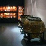 Musée archéologique du Lac de Sanguinet 