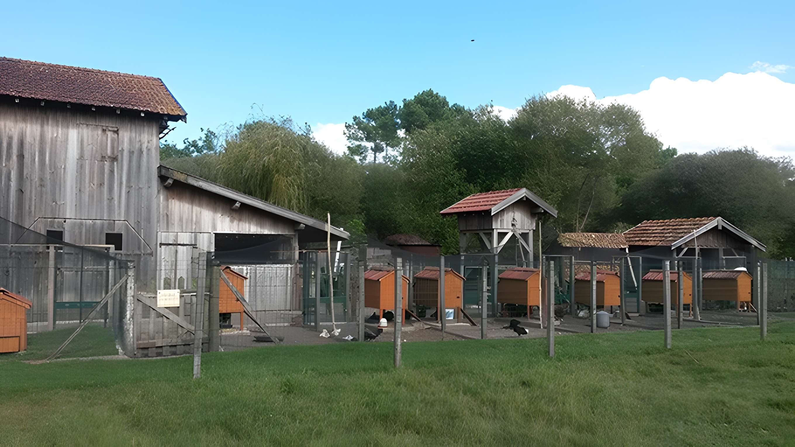 Musée des traditions et de l'histoire de Biscarrosse 