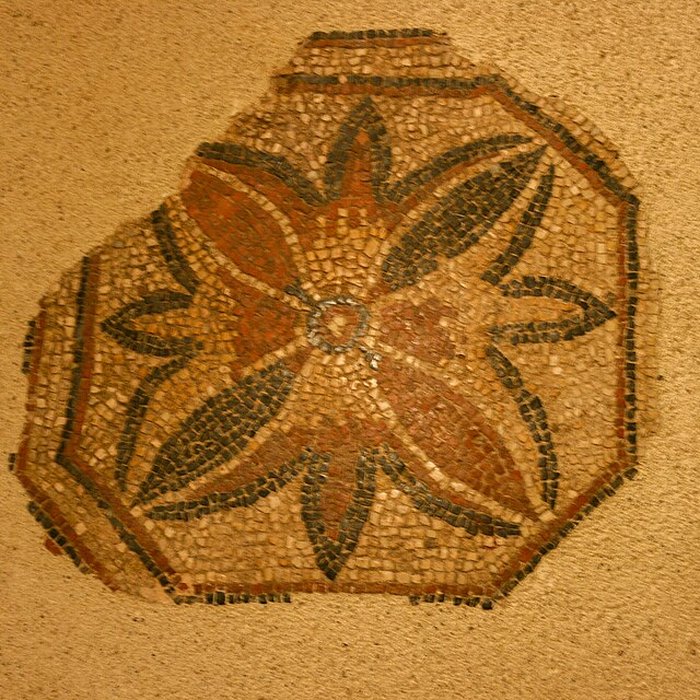 Photo de Musée des beaux-arts dAgen