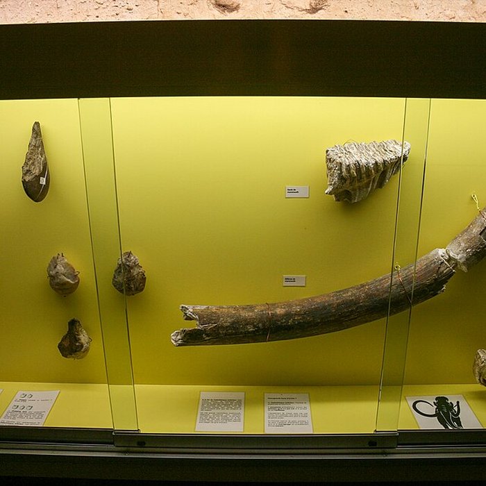 Photo de Musée des beaux-arts dAgen