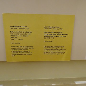 Musée des beaux-arts dAgen