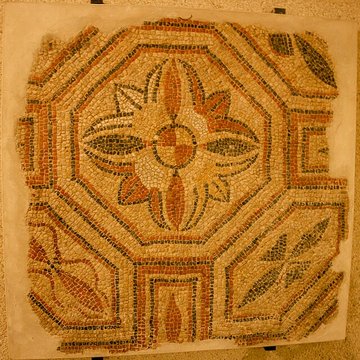 Musée des beaux-arts dAgen