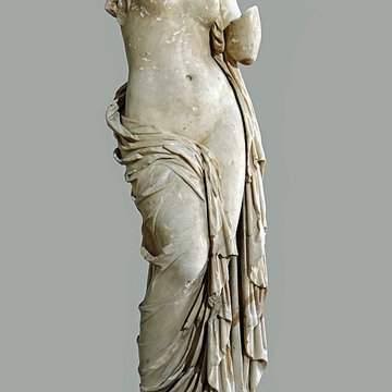 Musée des beaux-arts dAgen