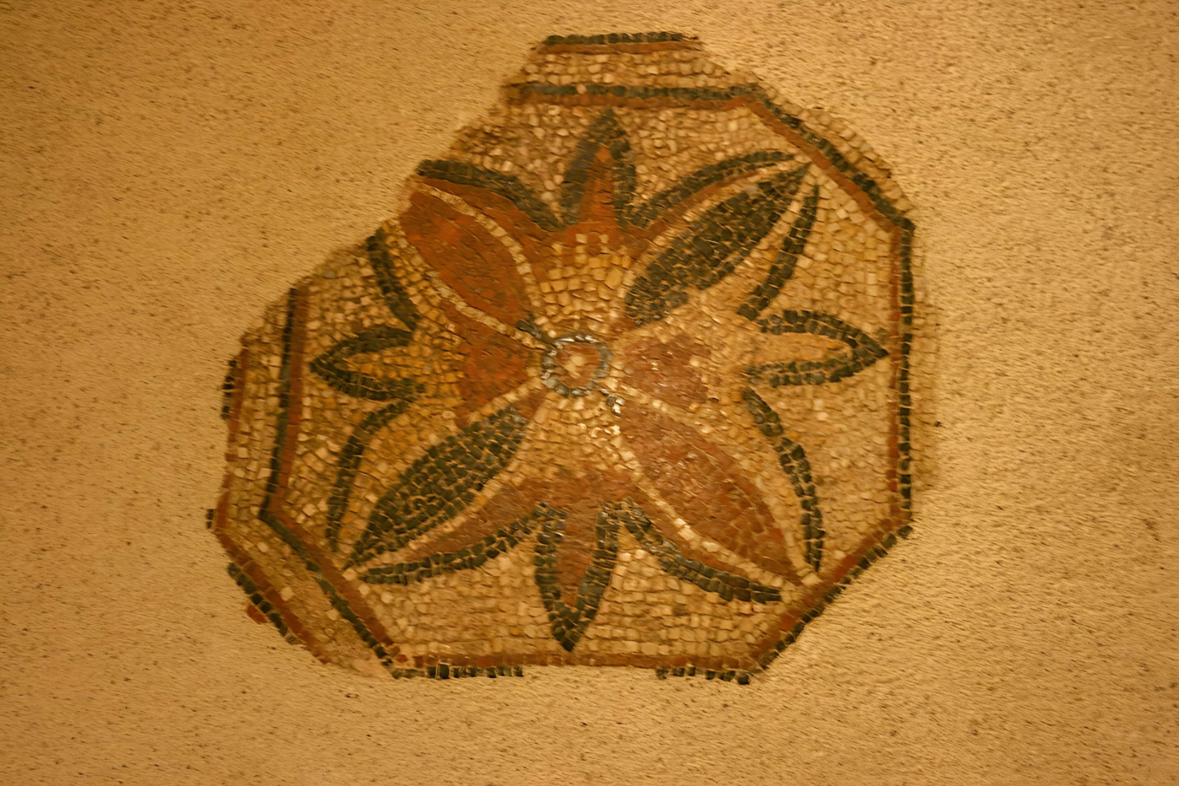 Musée des beaux-arts d'Agen