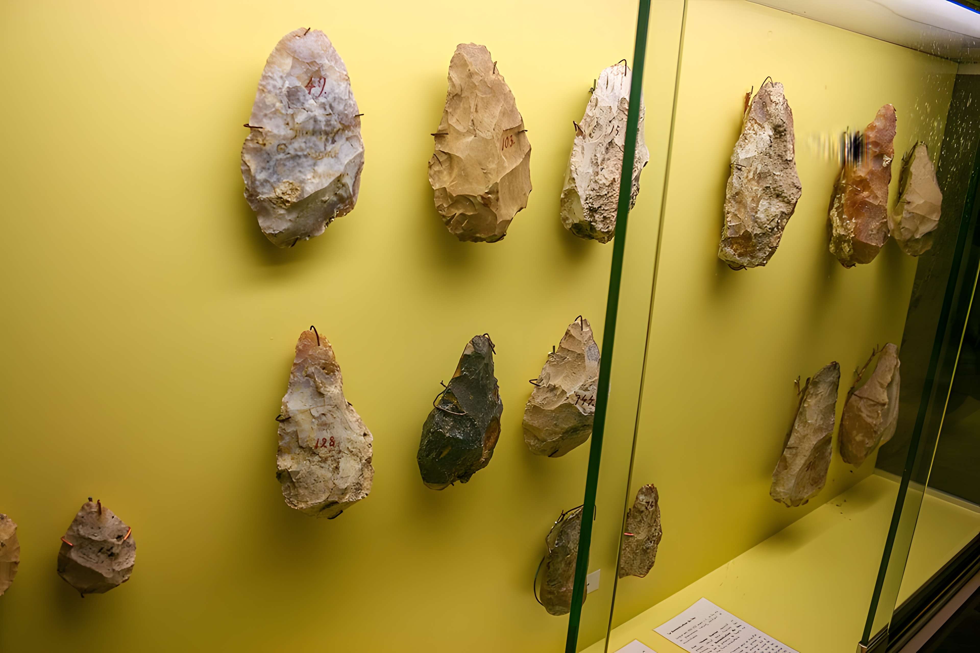 Musée des beaux-arts d'Agen