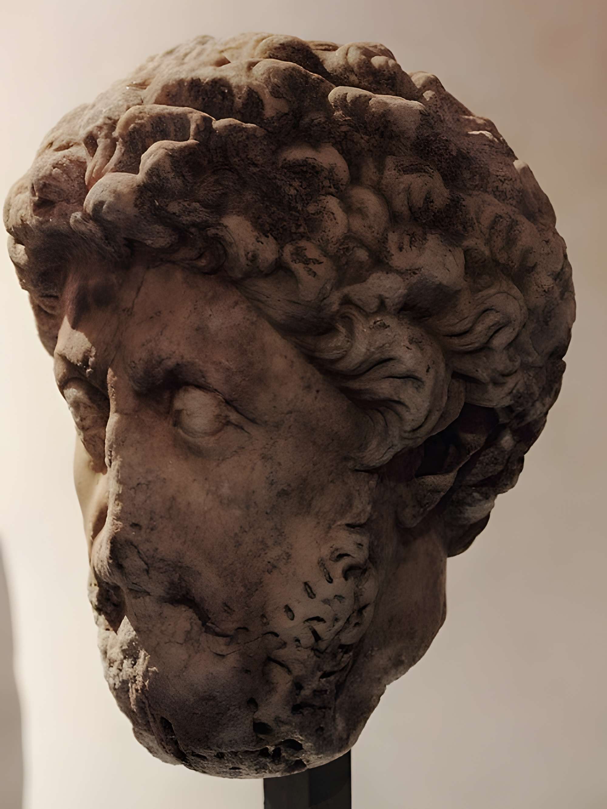 Musée du château de Nérac